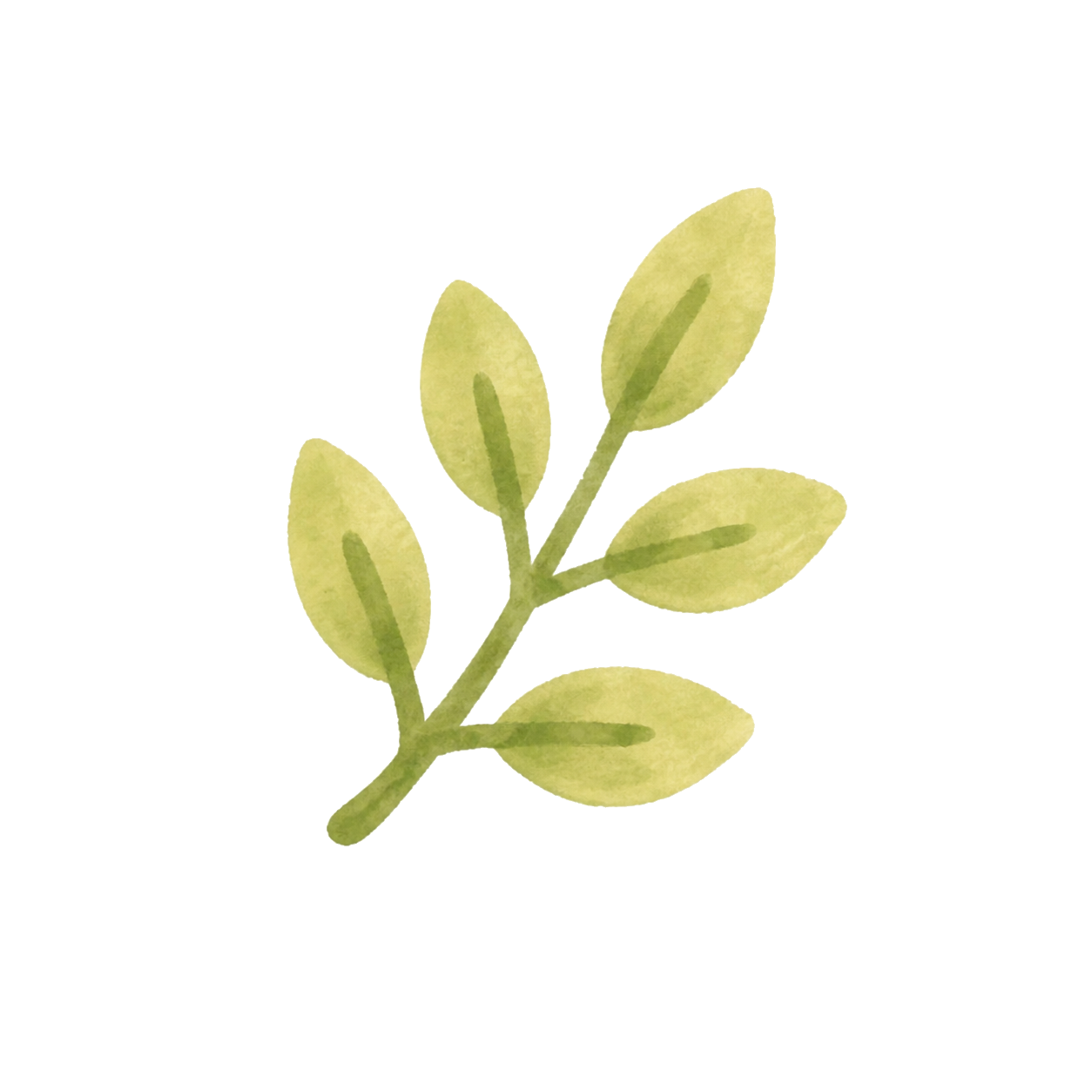 植物卡